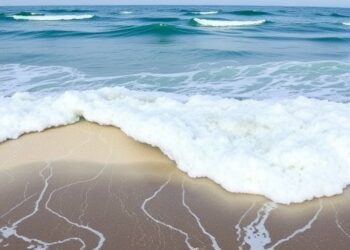 Scientists Enhance Understanding of Sea Level Rise, Confirming Acceleration Since 1960 — Athmospheric