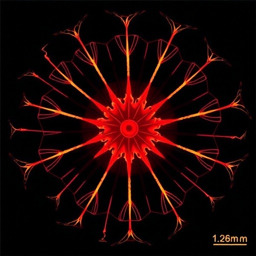 Scientists Uncover Mechanism Behind Precise Spindle Formation in Dividing Cells — Technology and Engineering
