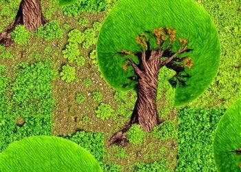 Self-Thinning, Space Use, and Biodiversity Links — Earth Science