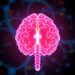 Semaglutide Triggers Weight Loss via Hindbrain cAMP — Medicine