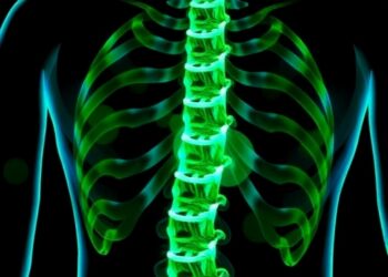 Senolytic Drug Combo Slows Early Intervertebral Disc Degeneration in Mice — Biology