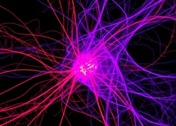 Single-Cell Map Reveals Immune Shift in ALS — Medicine