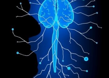 Social Exclusion Impacts Attention, Autonomic Systems in Teens — Psychology & Psychiatry