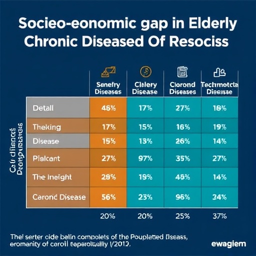 Socioeconomic Gaps in Elderly Chronic Disease Impact — Medicine