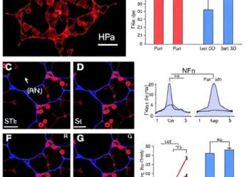 Soluble Uric Acid Impairs Neutrophil Defense in Sepsis — Medicine