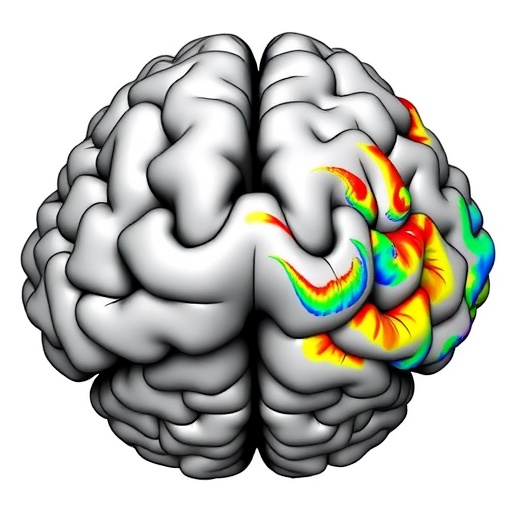 Sparse-to-Dense Coding in Hippocampal CA3-CA1 — Medicine
