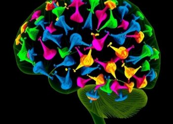 Spatial Proteomics Reveals Alzheimer’s Microglial States — Medicine