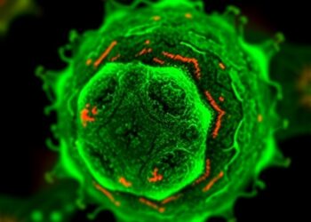 Stanford Medicine Researchers Discover Neutrophils Produce Protein Linked to Schizophrenia — Medicine
