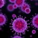 Stress Granules Reduce Cell Death from NK Cryopreservation — Medicine