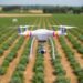 Study Finds Drones Equal More Expensive Technology in Farm Planning Efficiency — Agriculture