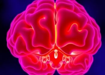 Study Reveals How Valproate Affects Early Brain Development: Insights into the Antiepileptic Drug’s Impact — Chemistry