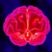 Study Reveals How Valproate Affects Early Brain Development: Insights into the Antiepileptic Drug’s Impact — Chemistry