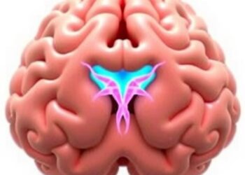 Study in Chinese Neurosurgical Journal Shows Minimally Invasive Techniques Effective for Treating Most Basilar Trunk Aneurysms — Medicine