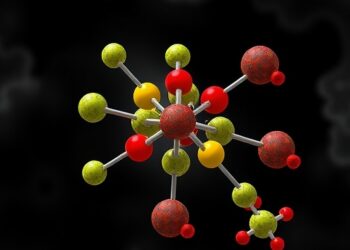 Succinate Dehydrogenase Loss Blocks Pyrimidine Biosynthesis — Medicine