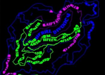 Targeting Arginine Metabolism Halts ARID1A-Deficient TNBC — Medicine