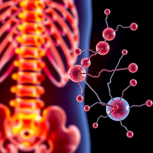 Targeting MDK Inhibition: A Promising New Approach to Combat Bone Loss — Biology