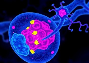 Tetrameric STAT5 Drives Immune Niche for Stem Repair — Cancer