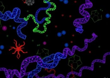 Thousands of Novel Proteins Discovered in the Dark Proteome — Biology