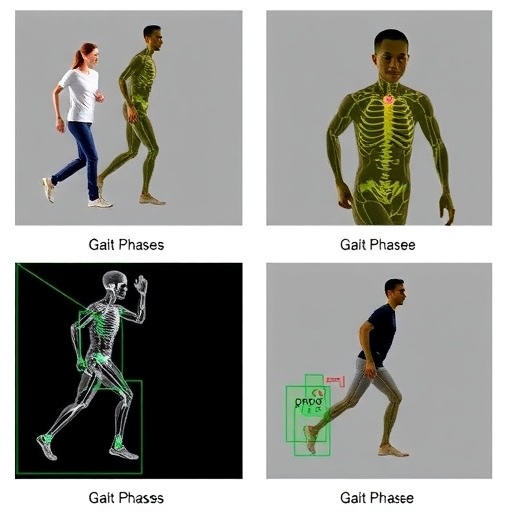 Transfer Learning Enhances Accuracy and Efficiency of Gait Phase Classification in Wearable Sensors — Technology and Engineering