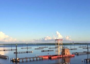 Tulane Researchers Highlight Louisiana’s Potential to Lead Global Climate Adaptation Efforts — Athmospheric