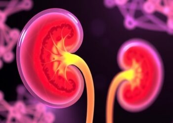 USC Researchers Initiate Study on the Most Advanced Lab-Grown Kidney Structures — Biology