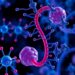 Uncovering Pancreatic Cancer Biomarkers via Mutation Analysis — Medicine