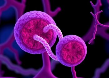 Unlocking Pancreatic Development and Cellular Plasticity — Cancer