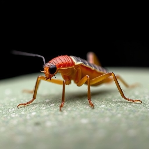 Unraveling the Biochemical Links Between Stress and Sexual Dysfunction in Model Organisms — Space