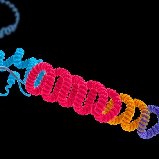 Unveiling Human Betaine/GABA Transporter 1 Mechanisms — Medicine