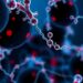 Unveiling Human Proteome: Microproteins and Peptideins — Medicine