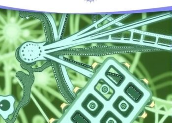 Unveiling the Unseen: Establishing a New Baseline for Salish Sea Diatoms Meets Global Scientific Demand — Marine