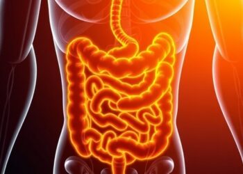 Urolithin A Reduces Inflammation, Strengthens Gut Barrier — Technology and Engineering