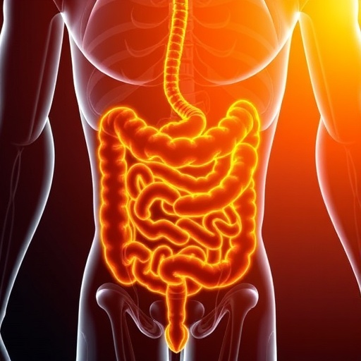 Urolithin A Reduces Inflammation, Strengthens Gut Barrier — Technology and Engineering