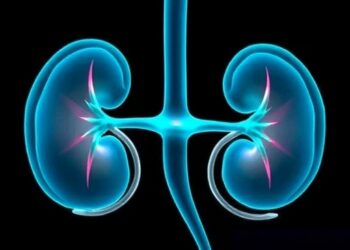 Vancomycin Kidney Injury in Older Chinese Patients — Medicine