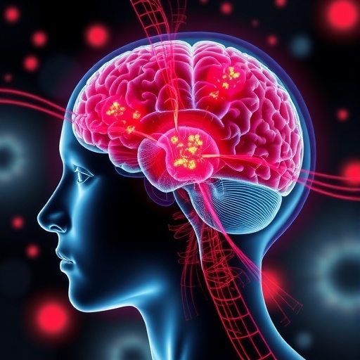 Viscous Stress Accelerates Glioblastoma Cell Invasion — Cancer