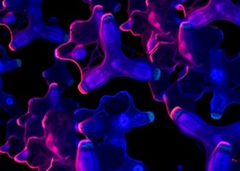 ZNF473 Drives Colorectal Cancer, Boosts Chemoresistance — Medicine