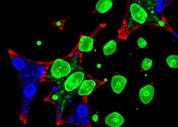 miR-205a Suppresses CDH11, Halting Chondrocyte Growth — Medicine
