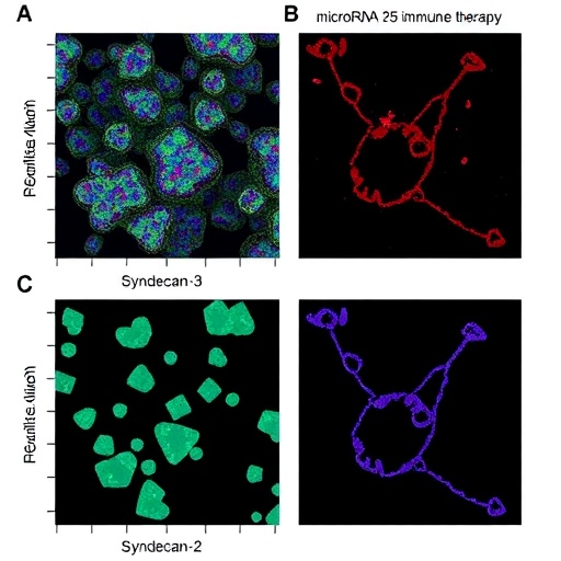 microRNA-25 fuels immune therapy resistance via Syndecan-3 — Medicine