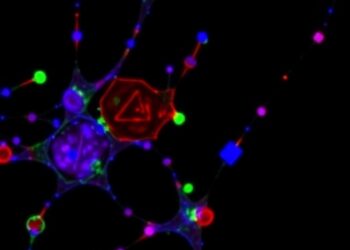 tRNA-Derived 3′U-tRFSerTGA Signals Poor Myeloma Prognosis — Cancer