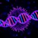 αKG Boosts DNA Repair Through Histone Acetylation — Medicine