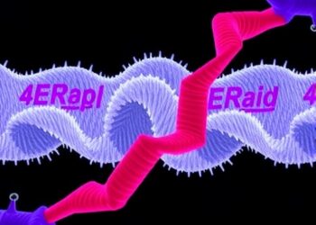 4E-BP1: Balancing Healing and Scarring Molecularly — Cancer