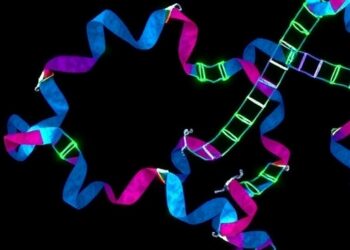 AAV8 Gene Therapy Reverses Protein C Deficiency — Medicine