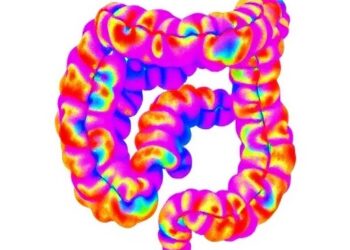 AI-Driven 3D Mapping Uncovers Intra-Tumor Diversity in Colorectal Cancer Through Deep Visual Multi-Omics — Cancer