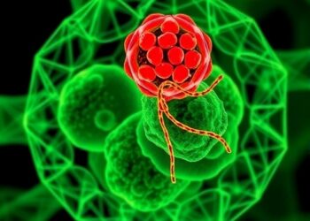 AMC-F1 Controls Mitochondria-Autophagy Crosstalk Independently — Medicine