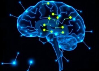 Acetyl-L-Carnitine Boosts Myelination After Social Isolation — Psychology & Psychiatry