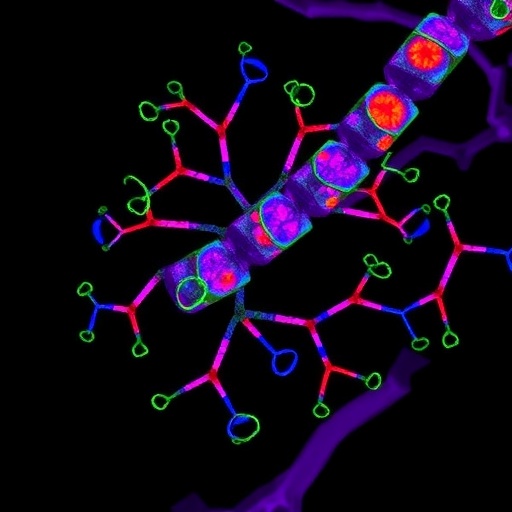 Acridine Compound Binds VEGF, Cuts CAM Vascularization — Medicine