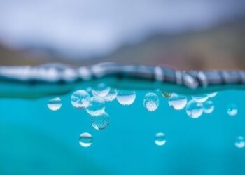 Advancing Standardized Monitoring of Microplastics in River Ecosystems — Mathematics