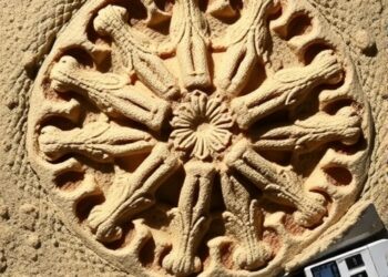 Ancient Fossils Reveal Bryozoans Existed at the Dawn of Animal Life, Solving a 500-Million-Year Mystery — Biology