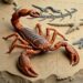 Ancient Giant: World’s Largest Scorpion Discovered in 415-Million-Year-Old Fossils — Earth Science