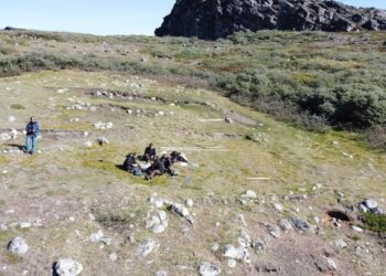 Fieldwork on Greenland